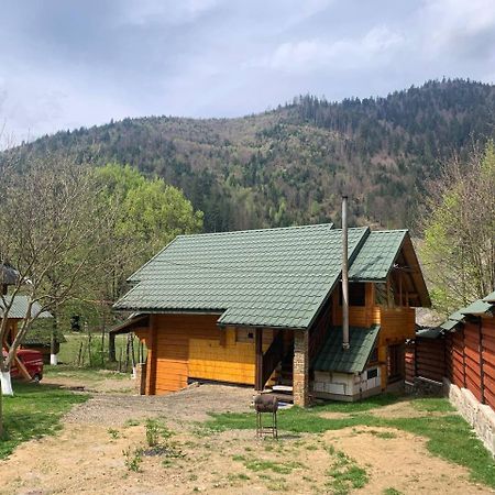 Еко Будинок В Горах Verkhnyaya Bystra Exterior photo